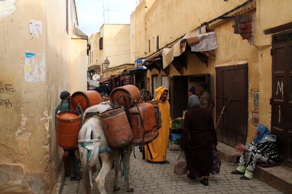 tourhub | Morocco Cultural Trips | 9-day Cultural Tour starting from Casablanca 