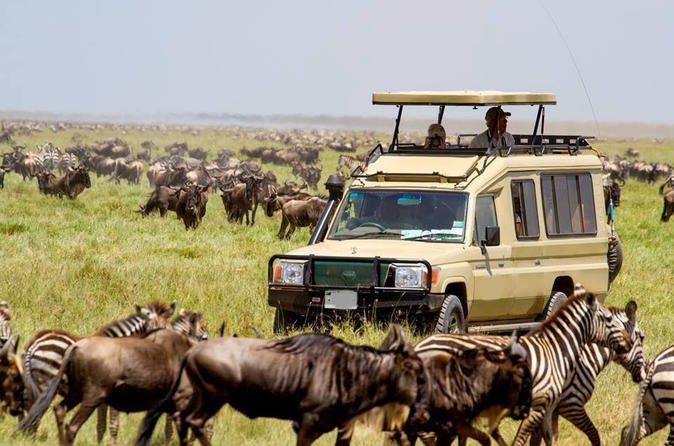 tourhub | Africa Endless Safaris and Holiday | Romantic Honeymoon Safari 