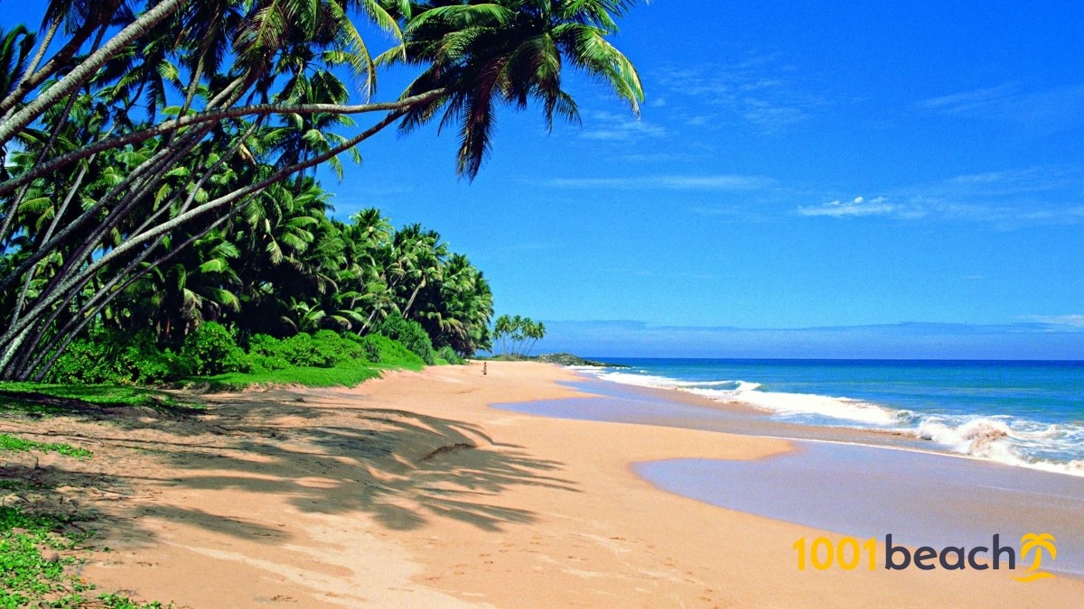 tourhub | Explore Vacations | Welcome to Pearl of the Indian Ocean 