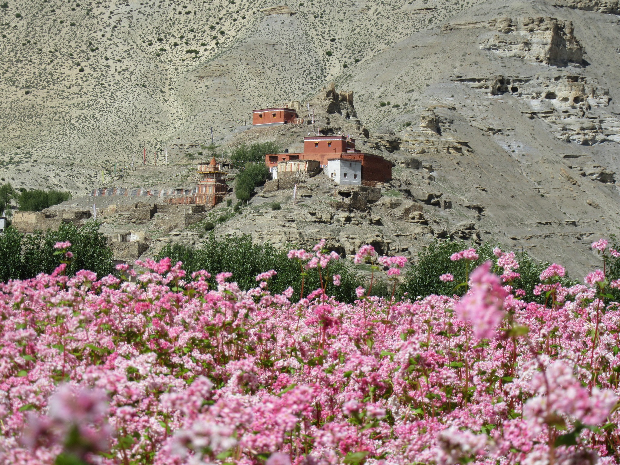 tourhub | Himalayan Sanctuary Adventure | Upper Mustang Trek 