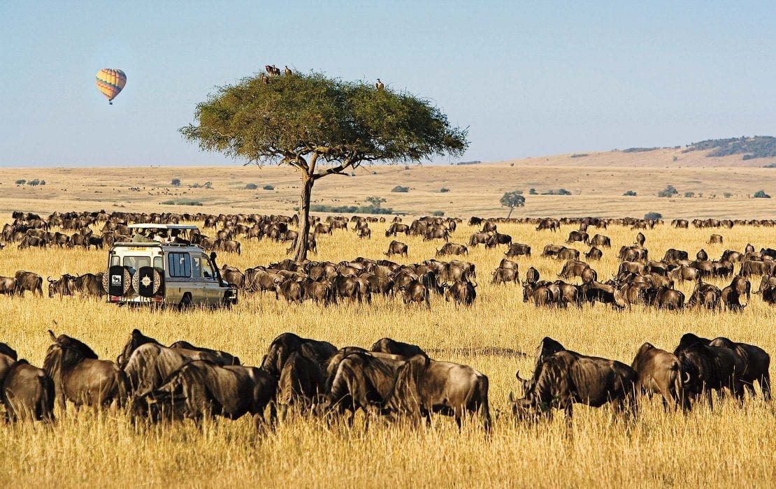 tourhub | ovacado adventures | Best of East Africa Safari | 400