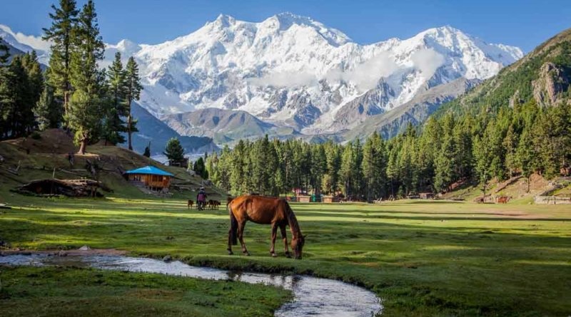 tourhub | Gypsy Traces and Tours | Fairy Meadows Tour 