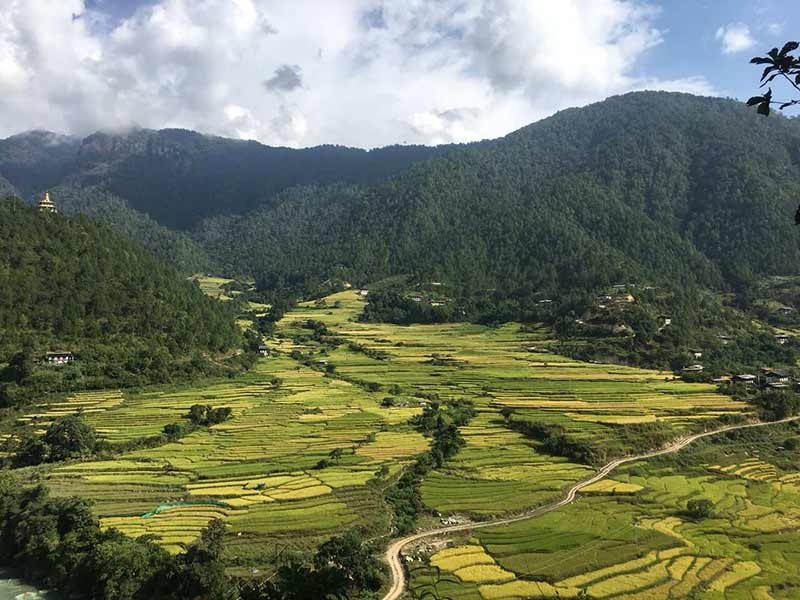 tourhub | Bhutan Acorn Tours & Travel | Bhutan Scenic Jomolhari Laya Gasa Trek | 71355P19
