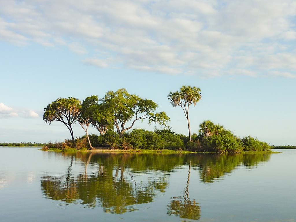 tourhub | Serengeti Access Safaris | 3 Days Selous Game Reserve from Dar es Salaam 