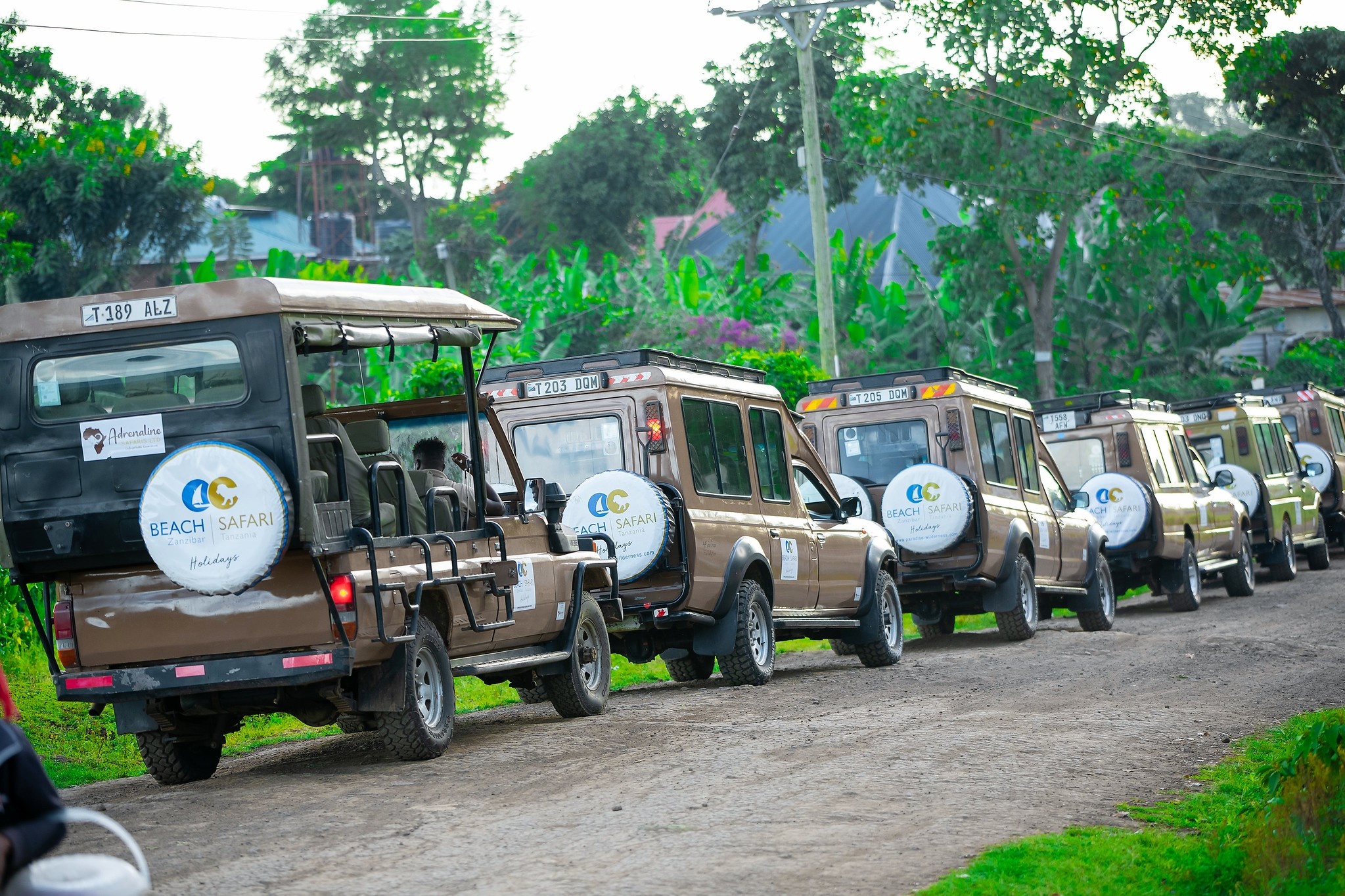 tourhub | Beach and Safari Holidays | A Journey Through The Ngorongoro Crater and Serengeti National Park 