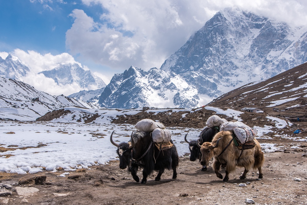 tourhub | HYE | Everest Base Camp Trek 