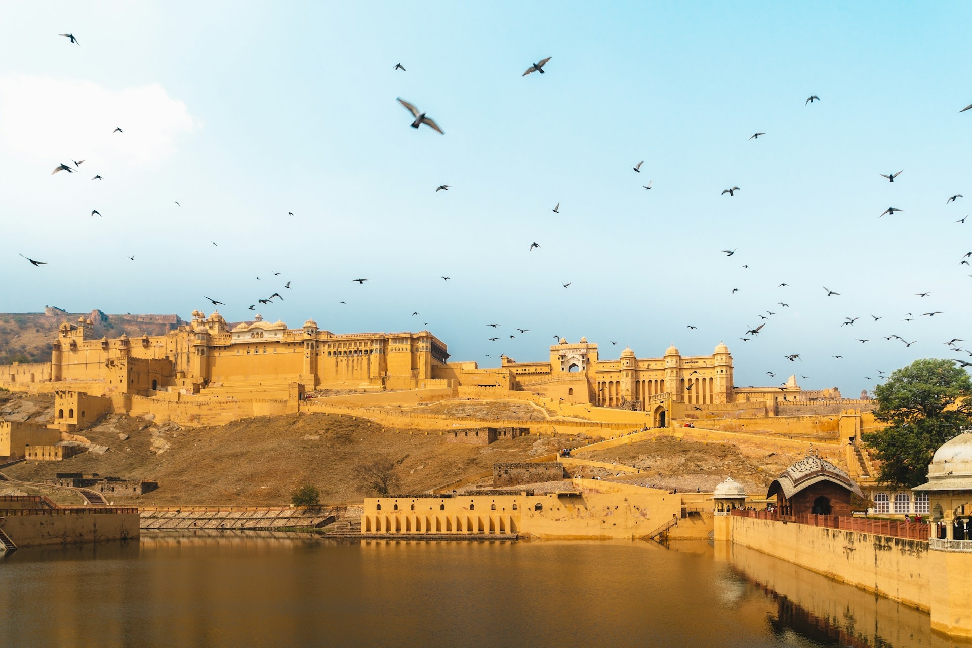 tourhub | Go Book Tours | Royal Rajasthan Tour Package 