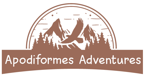 Apodoformes Adventures