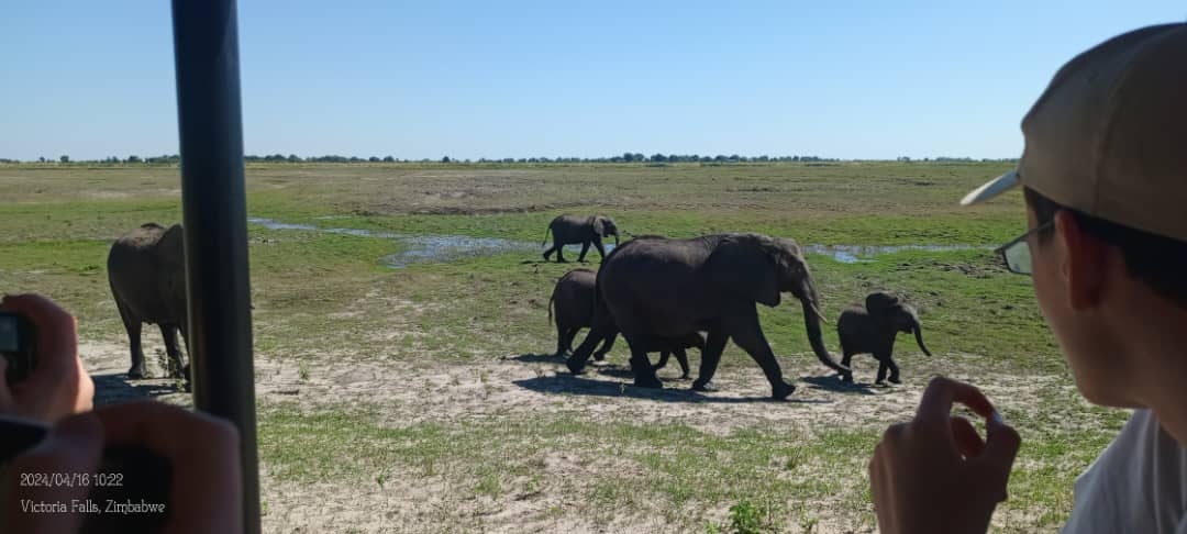 tourhub | Livingstone Lourie Safari | Victoria Falls, Livingstone & Chobe 