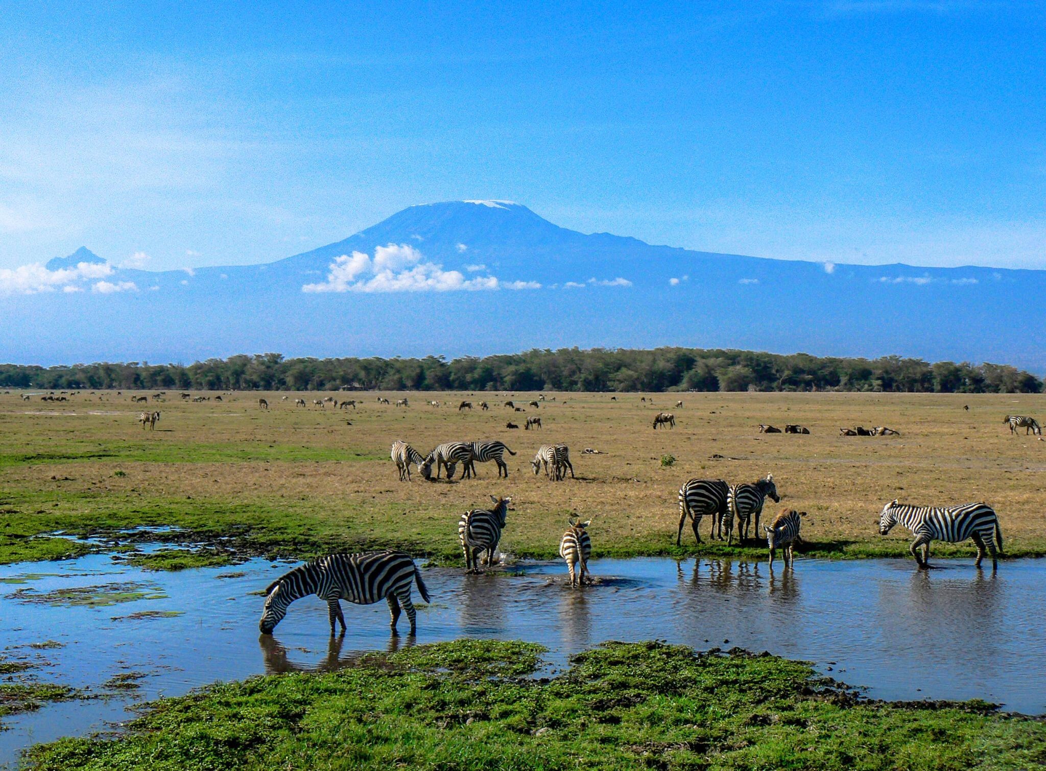 tourhub | Johnbow Tours and Travel | 3 Days Amboseli National Park Safari 