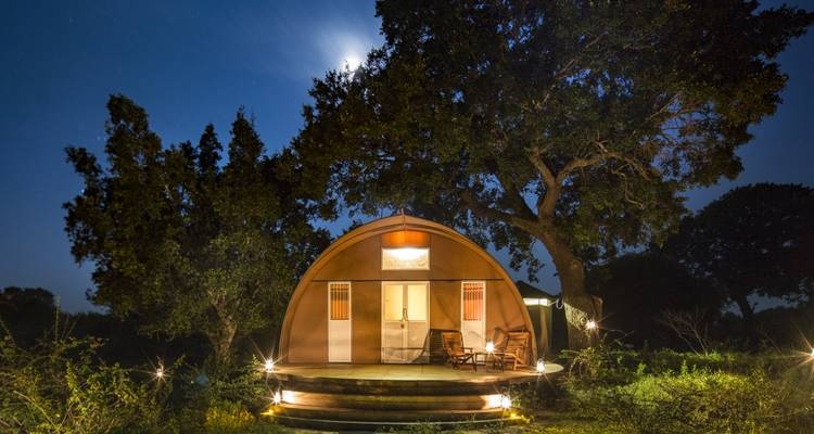 tourhub | Beyond Escapes (PVT)LTD | 3-Day Luxury Glamping in Yala National Park 