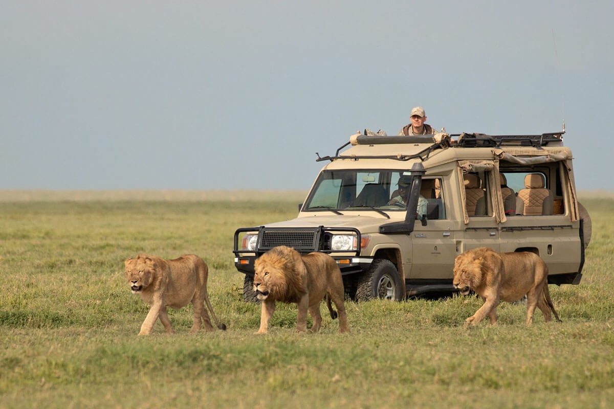 tourhub | Africa Safari Bookings Advisory Center | 11 Days Kenya Wildlife Safari and Mombasa Beach Holiday | Tour Map