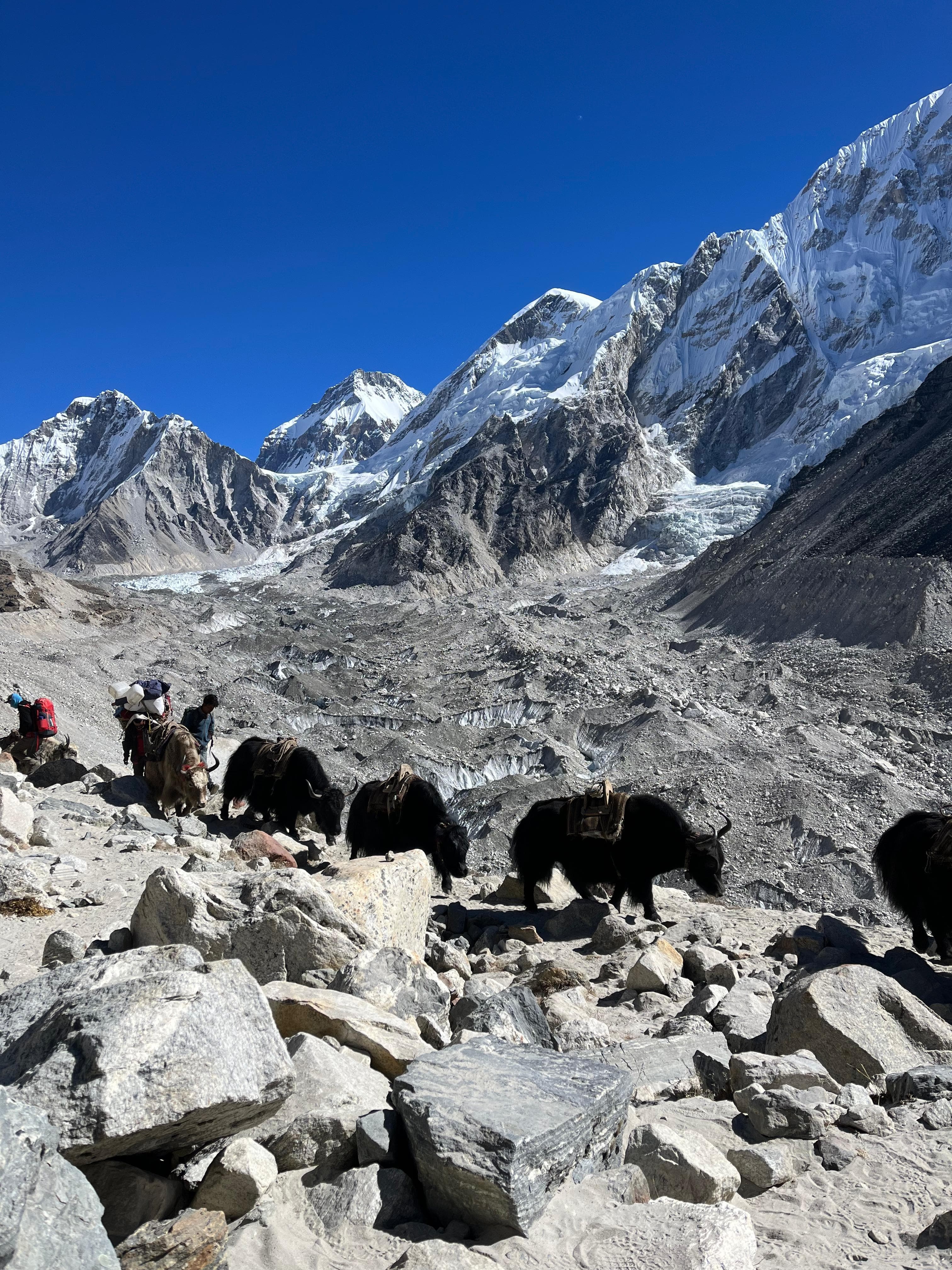 tourhub | Swotah Travel and Adventure | Everest Three High Passes Trek 