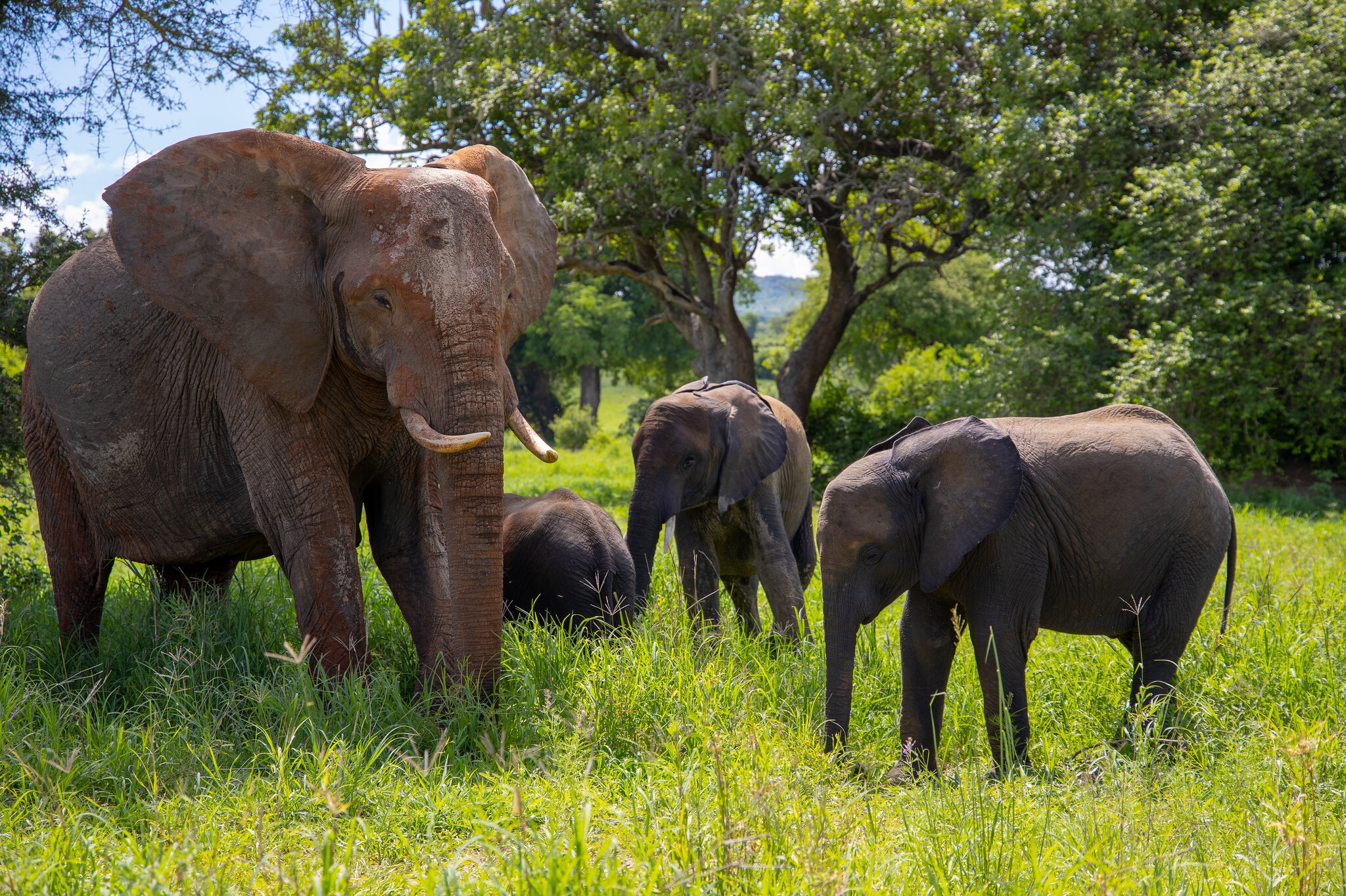 tourhub | Beach and Safari Holidays | Tanzania's Iconic Safari Adventure: From Savannah to Crater 