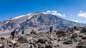 tourhub | Kilimanjaro Habitat Safaris | 8 Days Kilimanjaro Climb Lemosho Route 