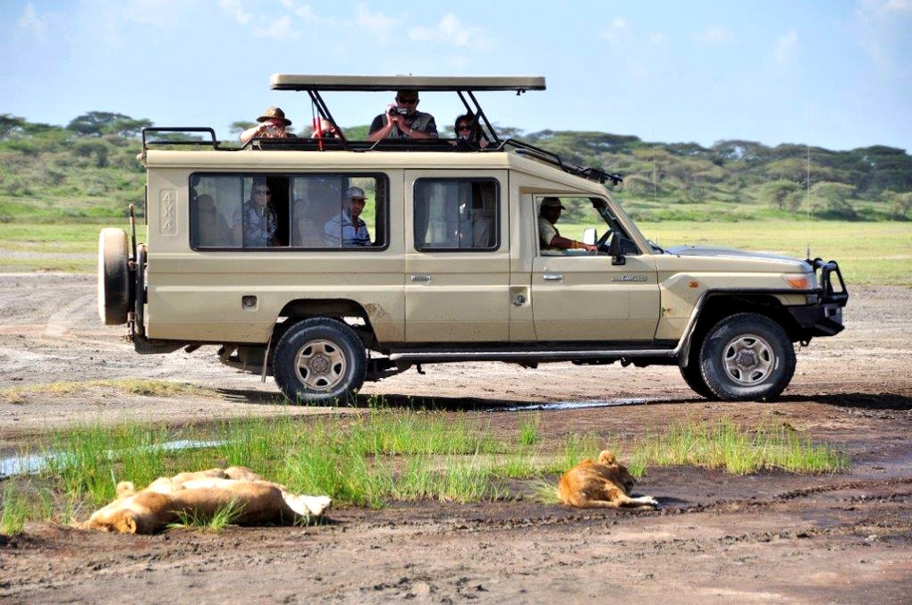 tourhub | Gracepatt Ecotours Kenya | From Nairobi: 2 Days Amboseli National Park Safari Package 