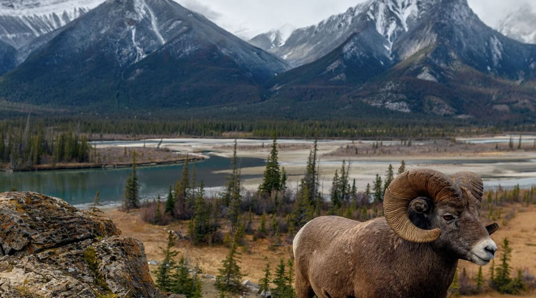 tourhub | Cosmos | Canadian Train Odyssey 