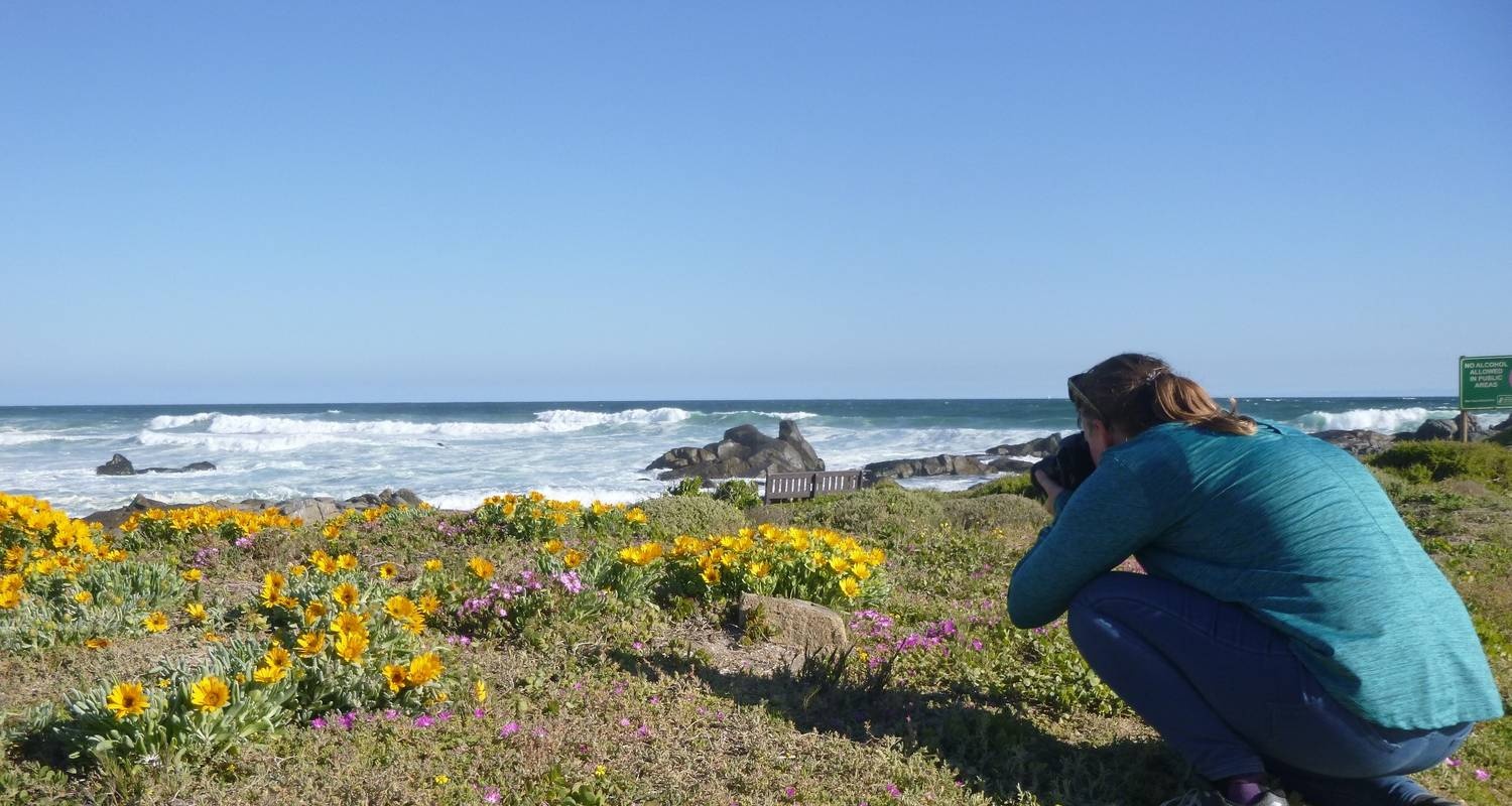 tourhub | HoneyBadger Travel & Tours | South Africa Flower Safari Namaqualand & West Coast 