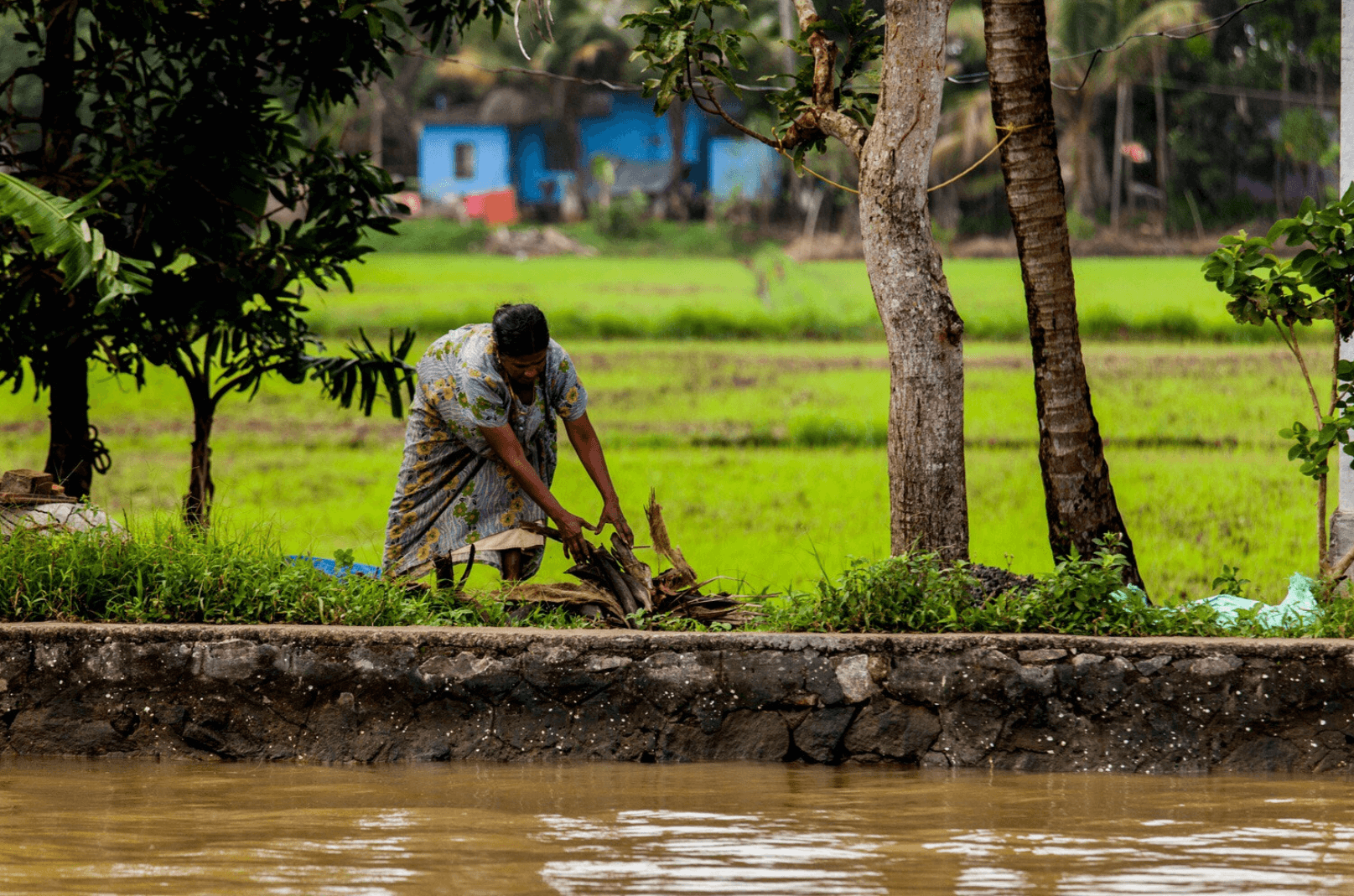 tourhub | TTI Tours | Deep Kerala Backwaters Cruise with Taj Mahal Trip 13 Days 