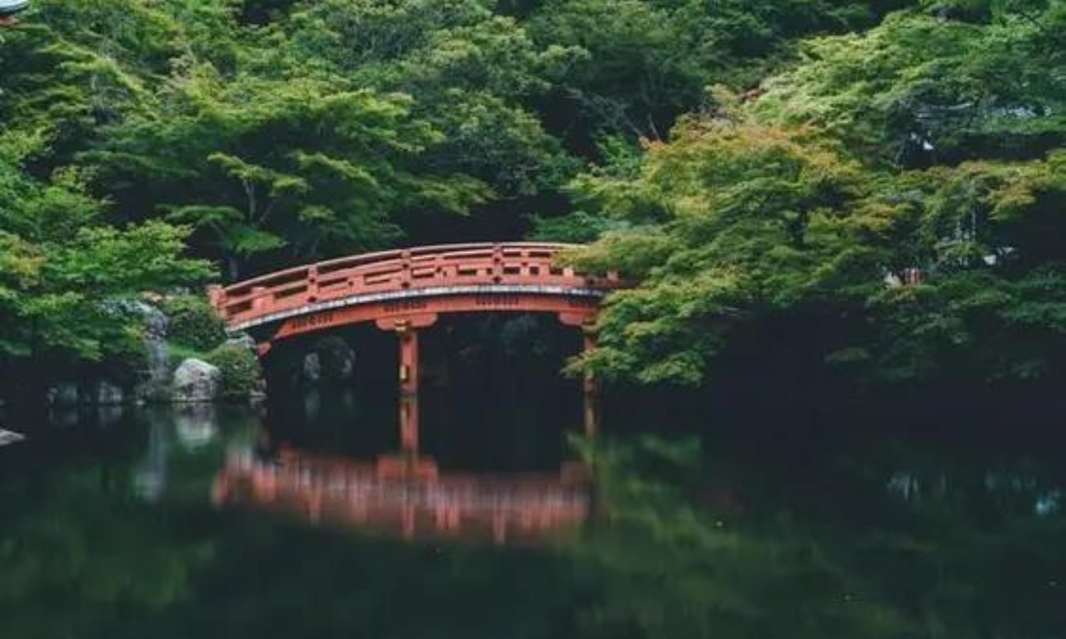 tourhub | Vio Travel | Discover Japan on a Budget: 8-Day Ultimate Starter 