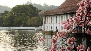 tourhub | Bravo Indochina Tours | Cultural Sri Lanka 8 Days Tour 