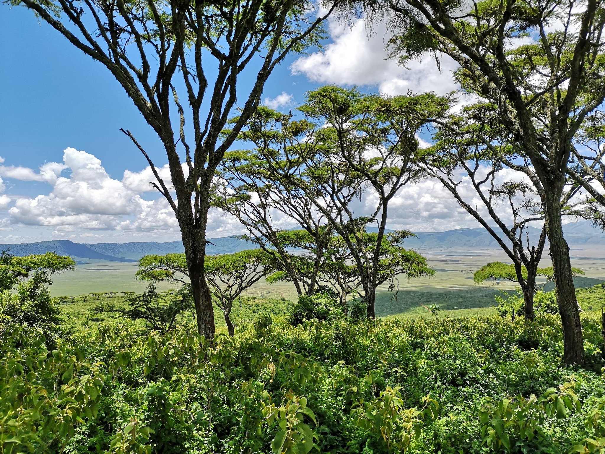 tourhub | Beach and Safari Holidays | A 3-Day Safari Expedition through Tanzania 