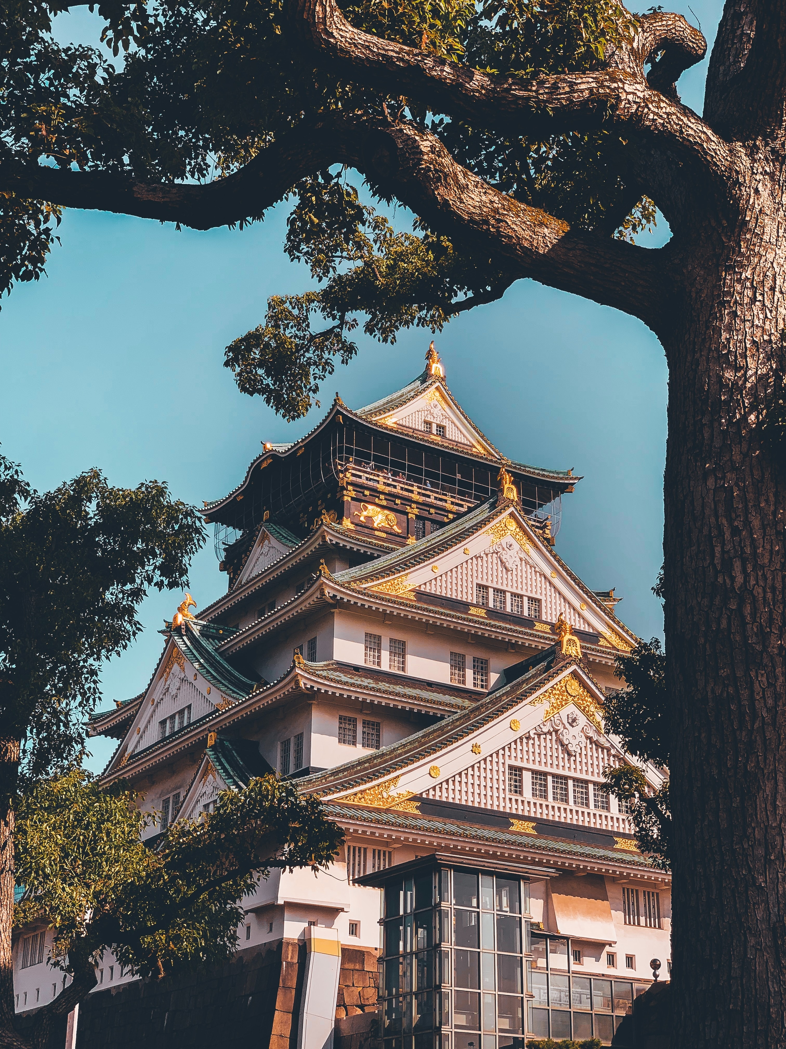 tourhub | The Dragon Trip | 13-Day Japan Tour: Tokyo, Mount Fuji, Kyoto, Nara, Osaka & Beyond 