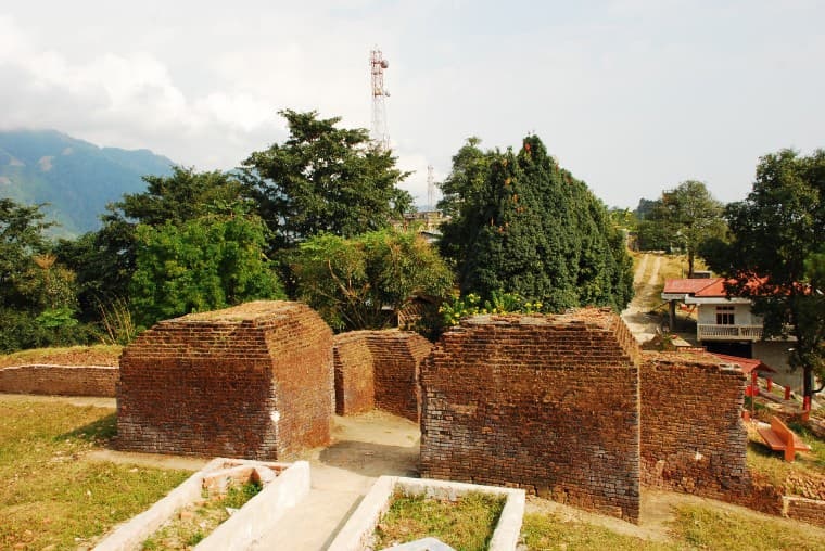 tourhub | Agora Voyages | Assam Tea Estate, Monasteries & National Park Tour | AGORA733
