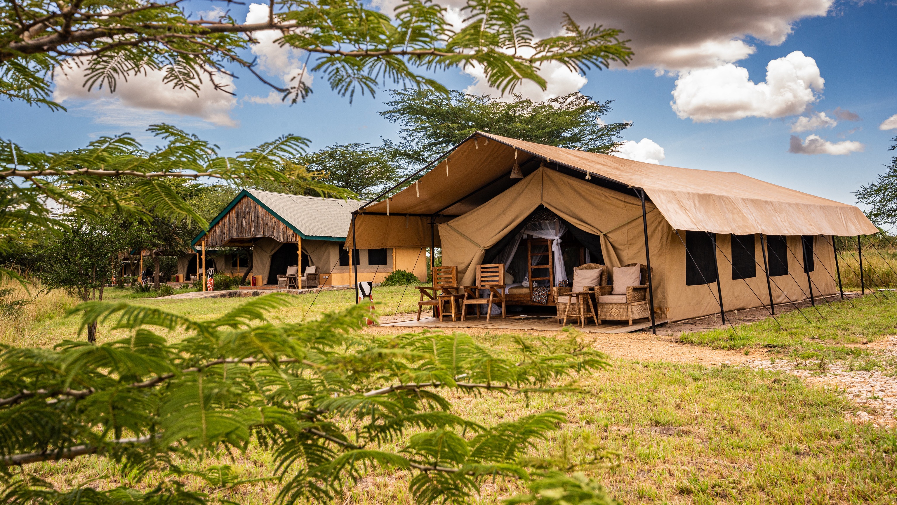 tourhub | Beach and Safari Holidays | Serengeti N.P.: 2 Full-Day Game Drives + Walking Safari + Night Drive 