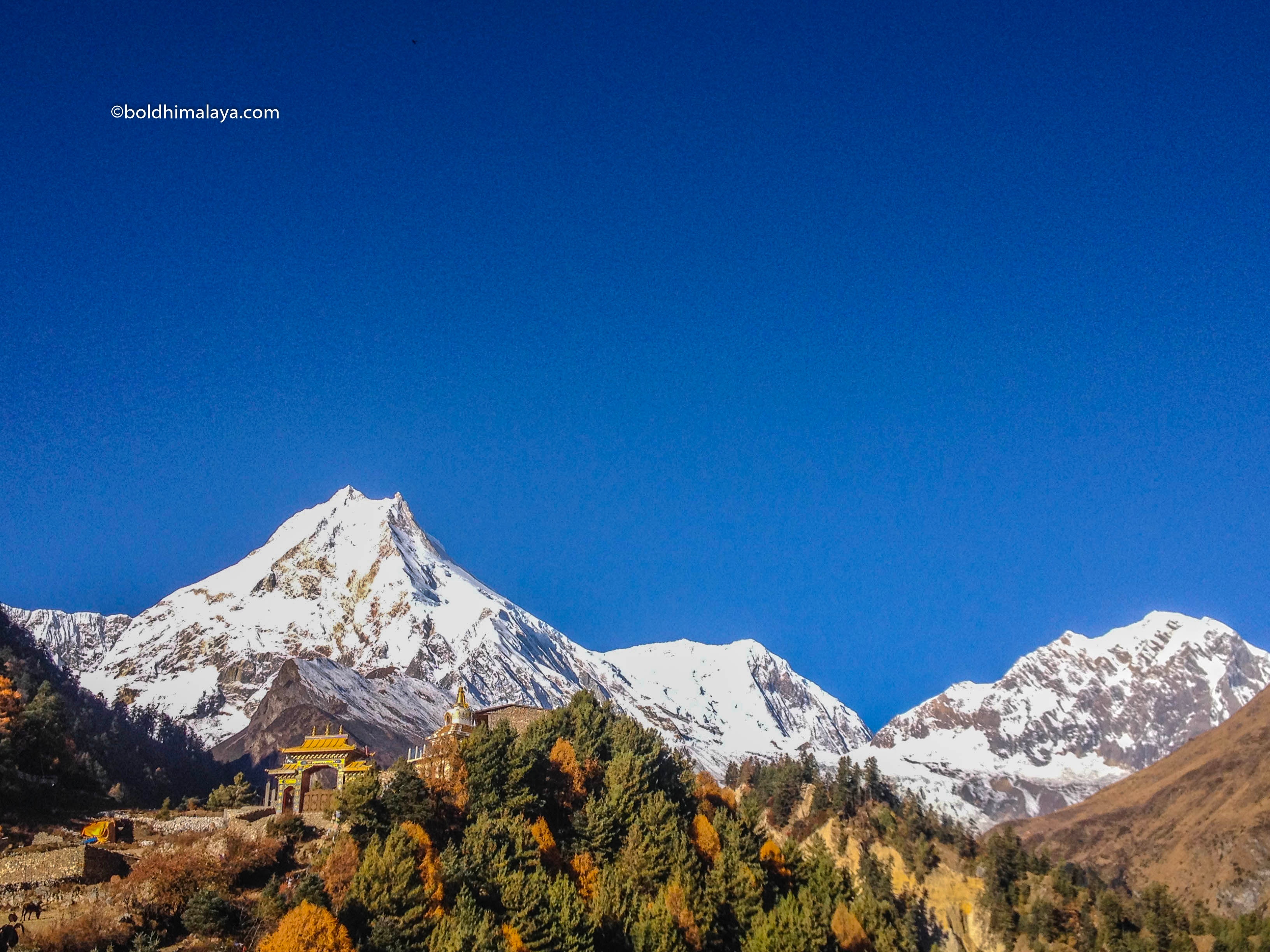 tourhub | Bold Himalaya Treks & Travels | Manaslu Circuit Trek 