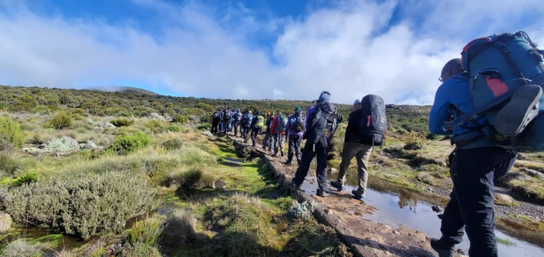 tourhub | Zara Tanzania Adventures | Kilimanjaro Marangu Route 5 Days 