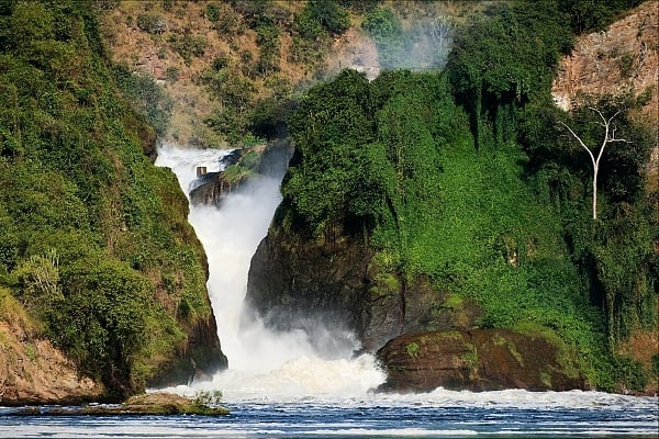 tourhub | ECOVIC TOURS & TRAVEL UGANDA | 07-Murchison Falls, Queen Elizabeth & Gorillas Safari 