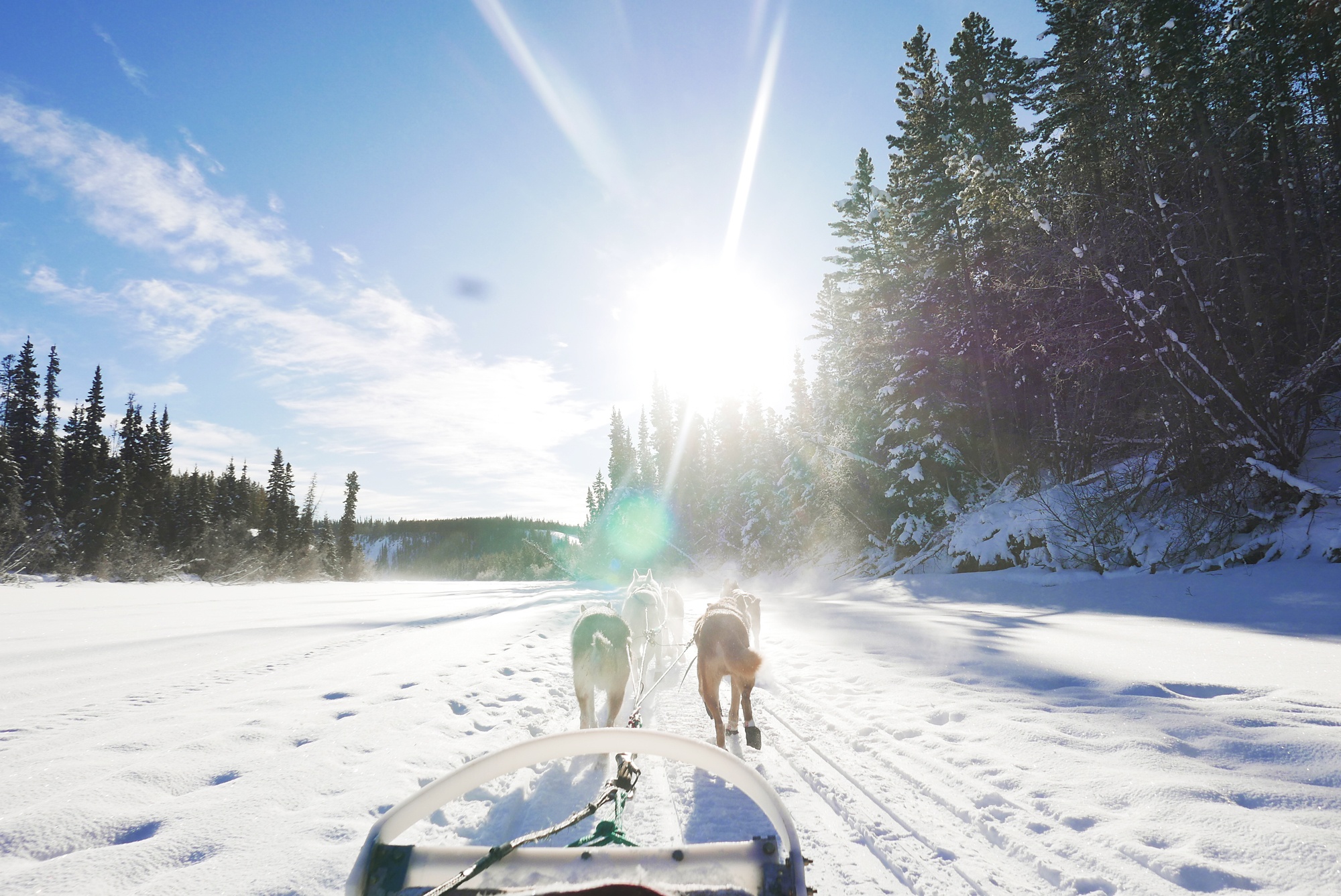 tourhub | Arctic Range Adventure | Yukon Winter Dream | Active Winter Adventure 