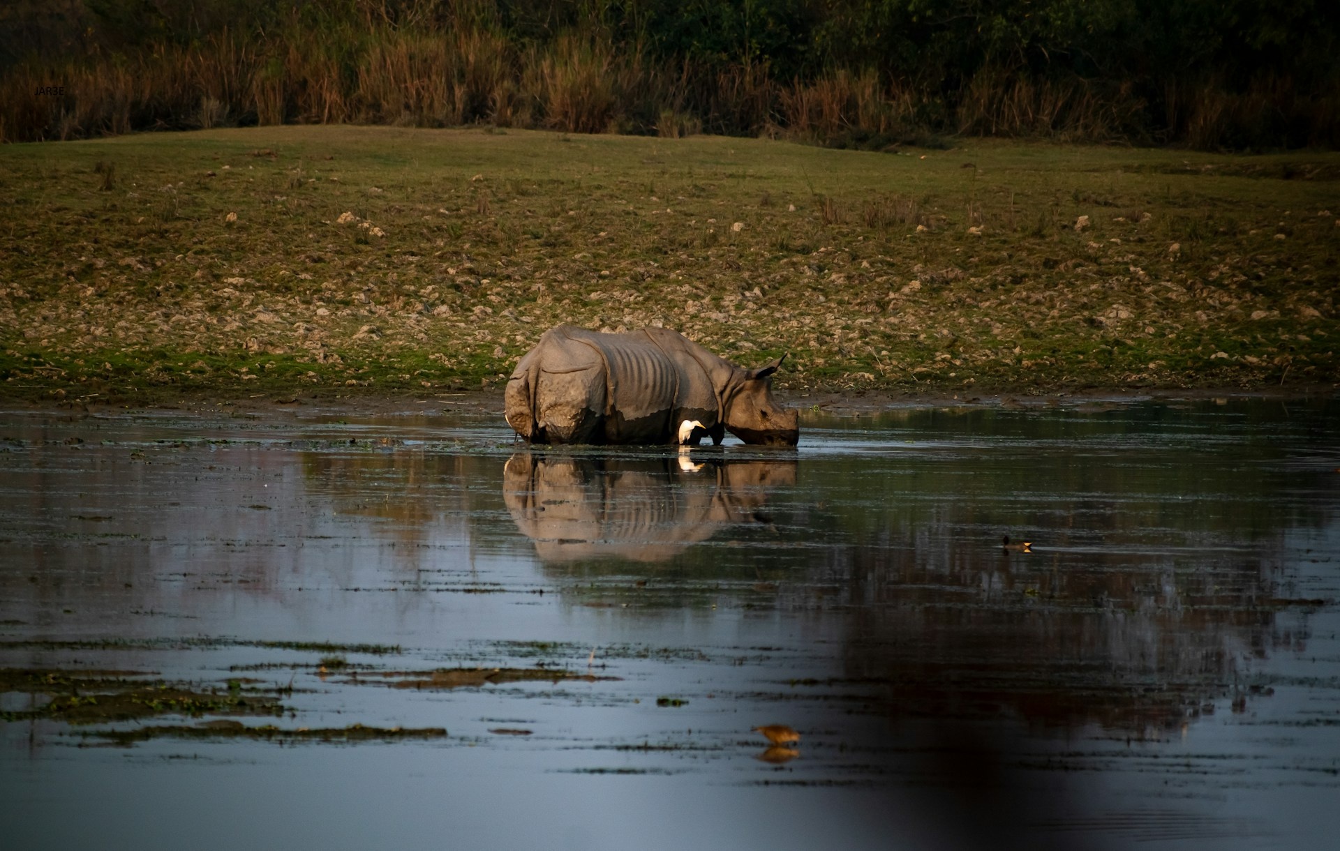 tourhub | Go Book Tours | Best of India & Sri Lanka Wildlife Photography Tour 