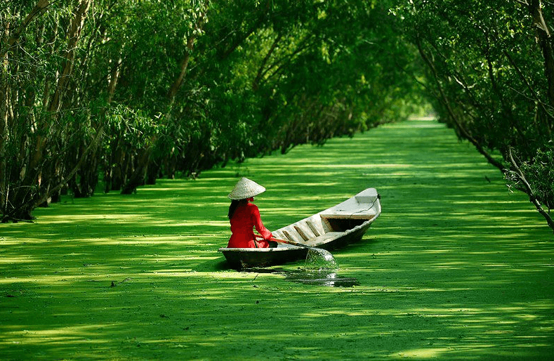 tourhub | Miracle Asia Travel | Quintessential Vietnam 12 Days 