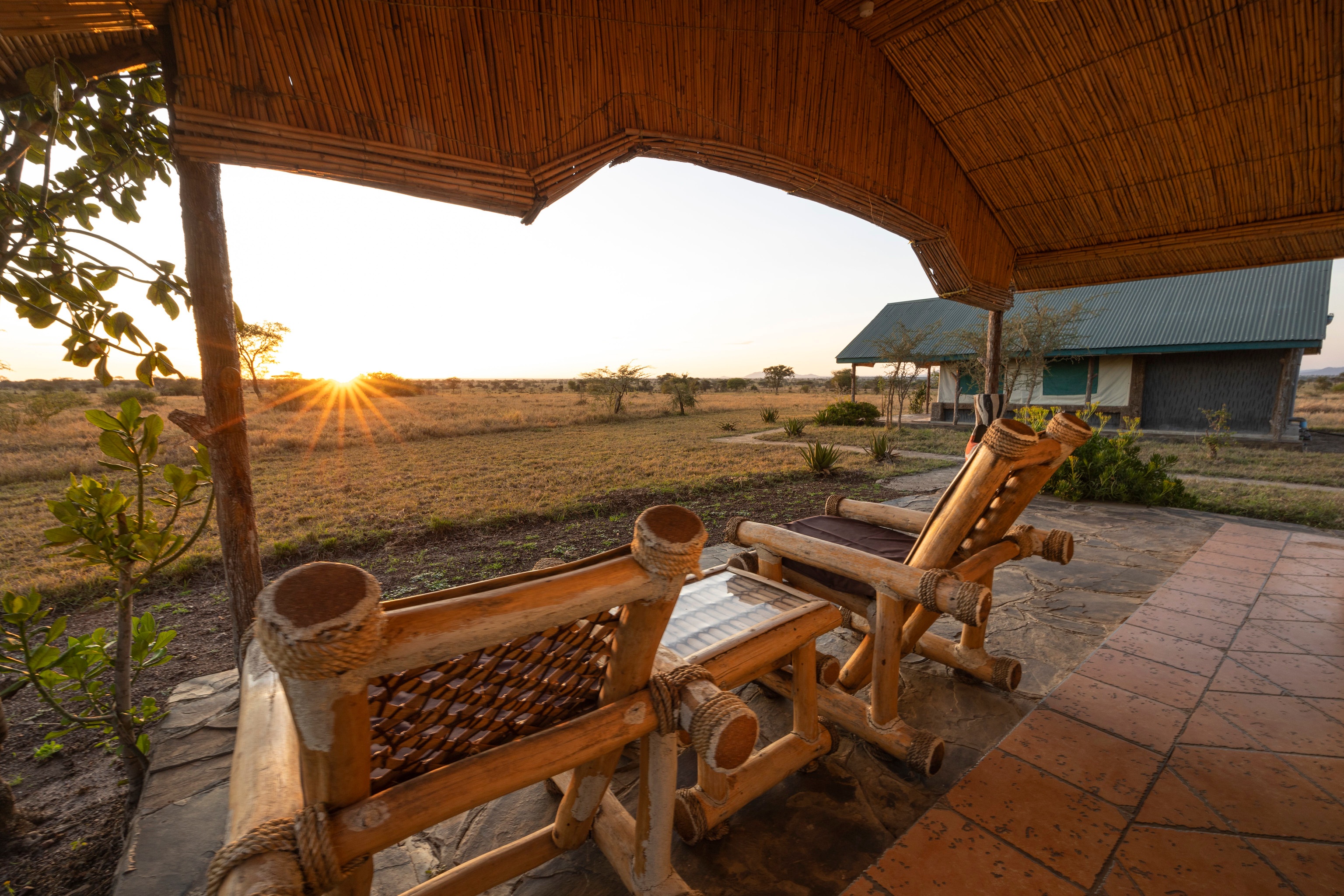 tourhub | Beach and Safari Holidays | The Ultimate Serengeti Experience 