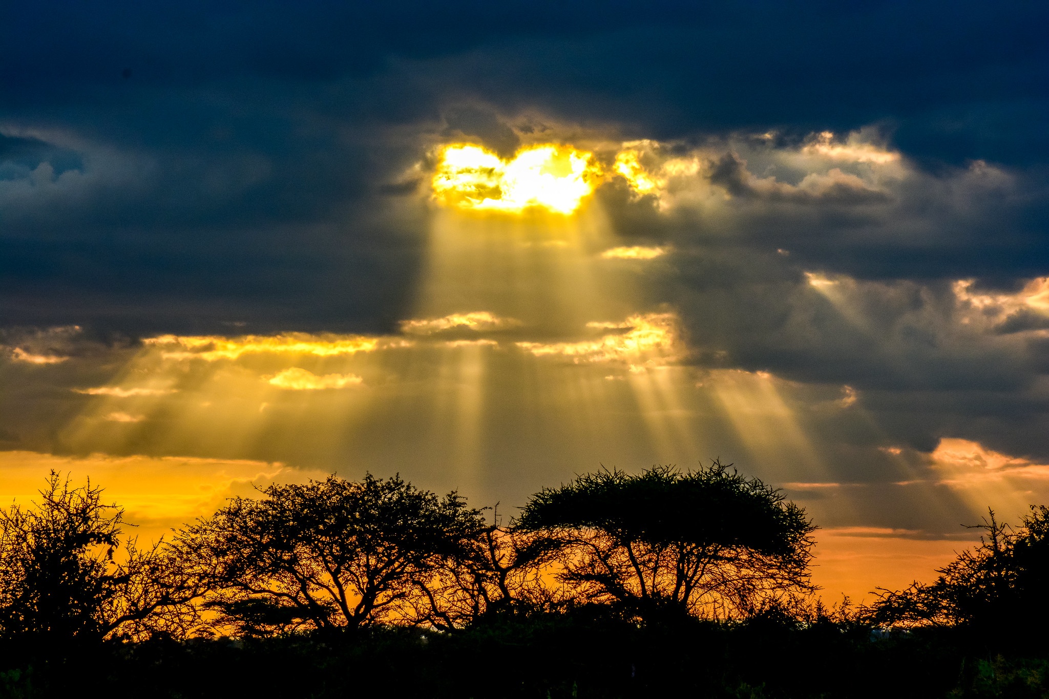 tourhub | Beach and Safari Holidays | Beyond Borders: A Tanzanian Adventure Through Landscapes & Wildlife 