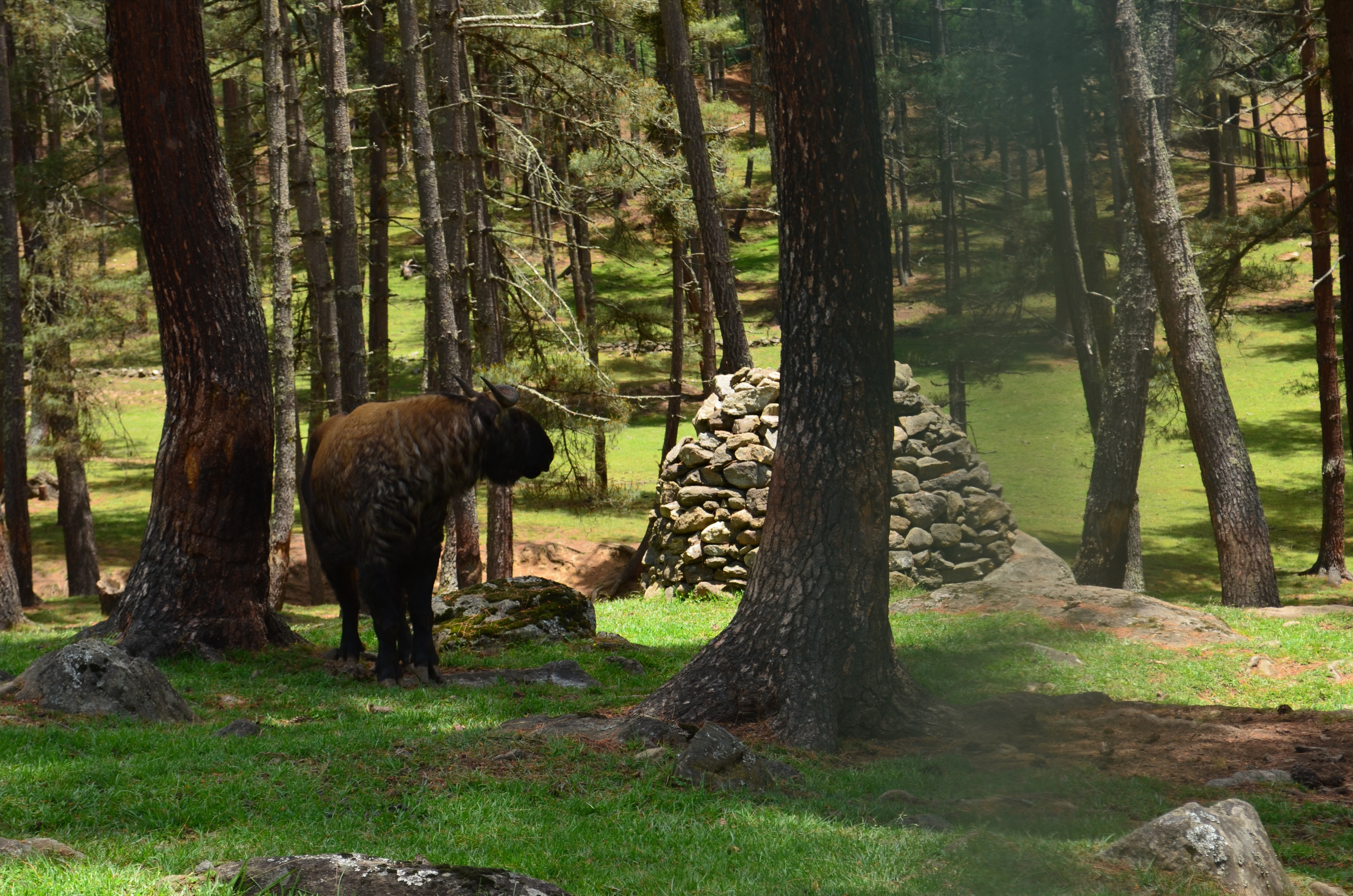 tourhub | World Tour Plan | Bhutan Spiritual & Wellness Tour 