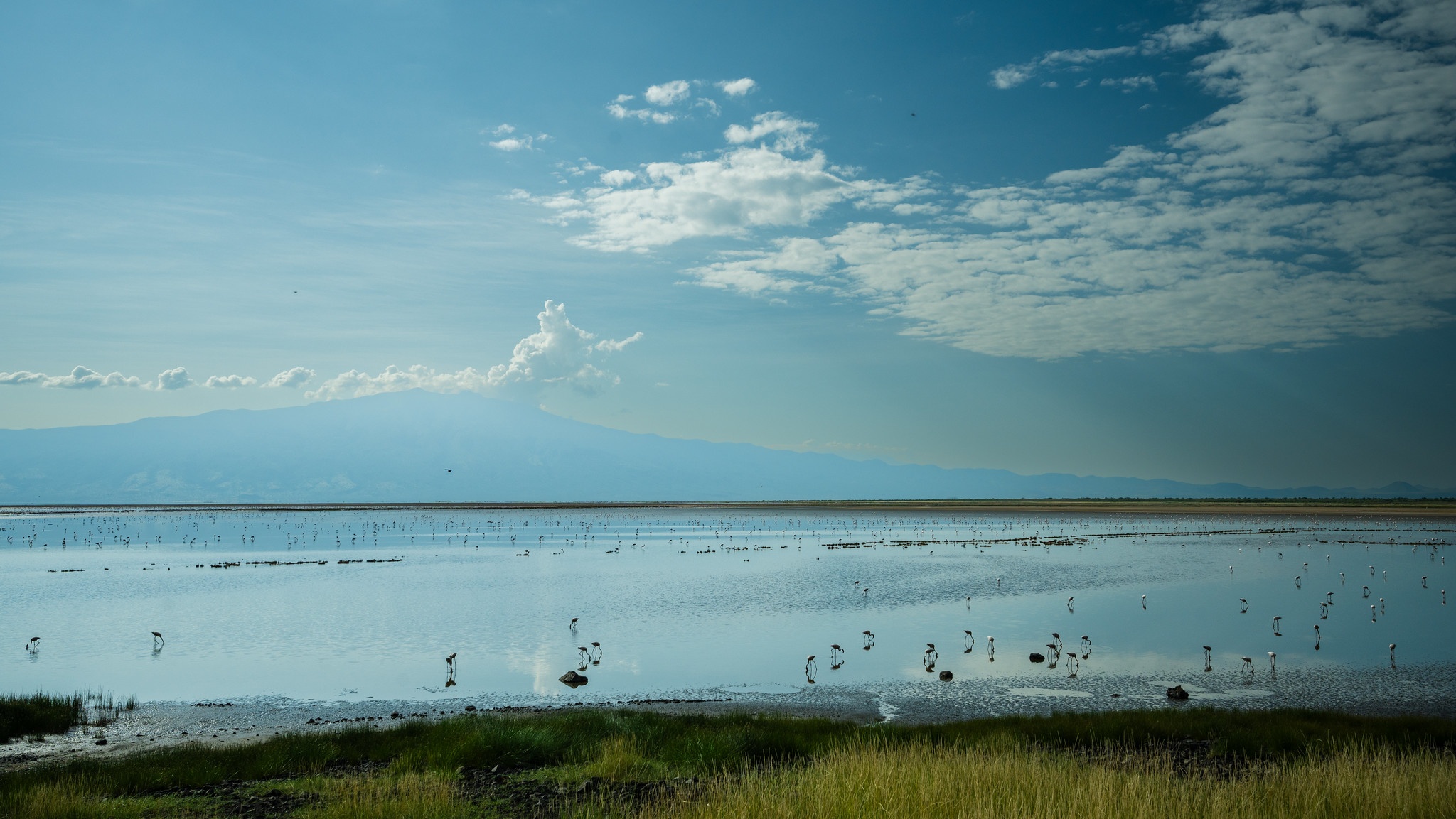 tourhub | Beach and Safari Holidays | Tanzania's Photographic Safari: Capturing Wildlife Wonders 