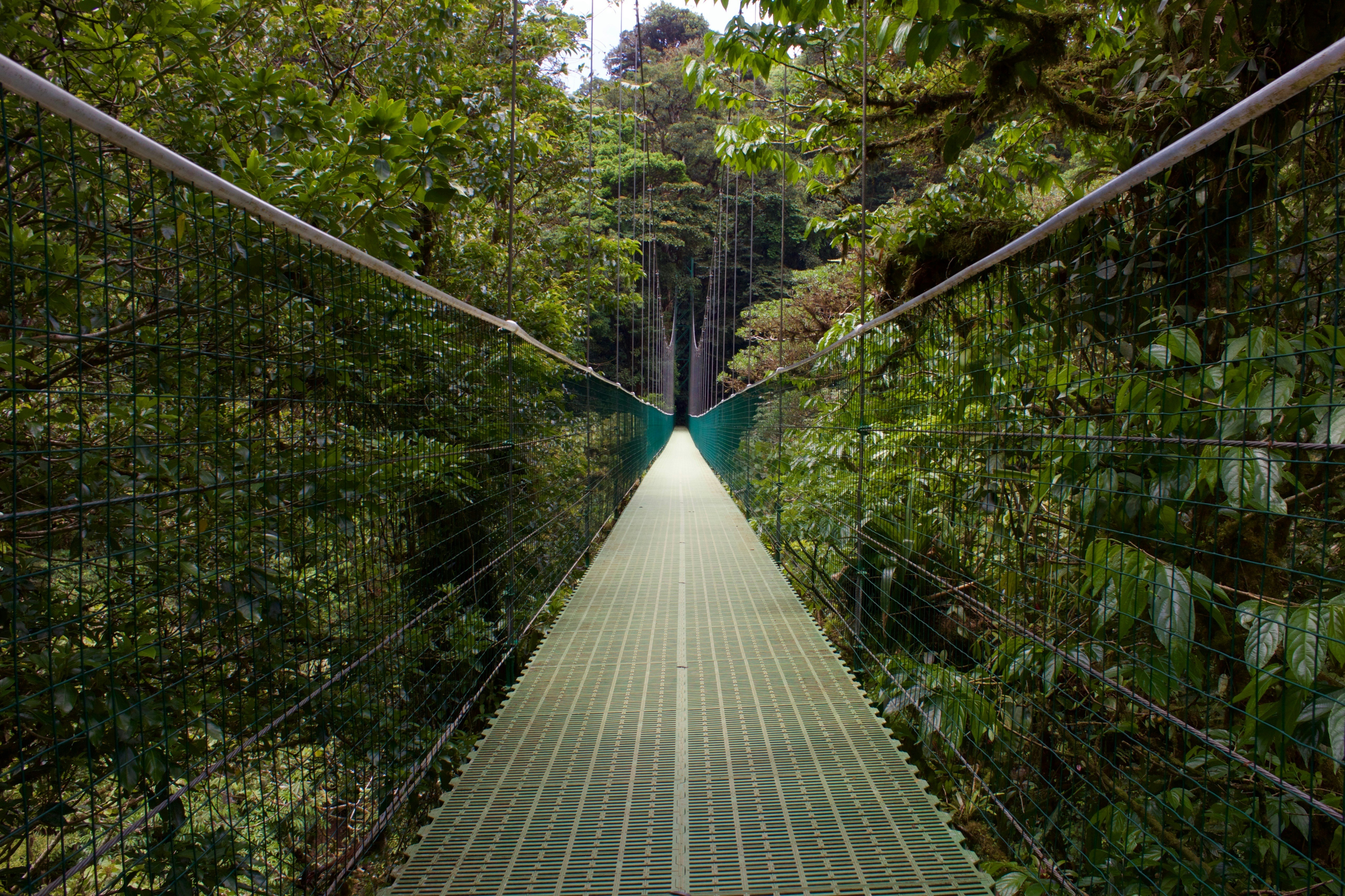 tourhub | Cox & Kings | Natural Splendours of Costa Rica 