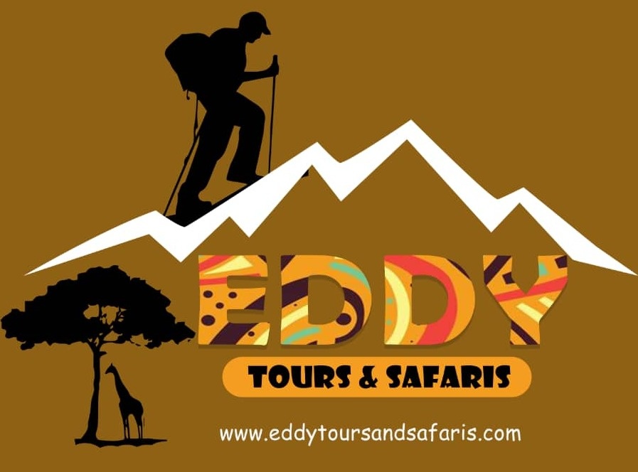 Eddy tours and safaris