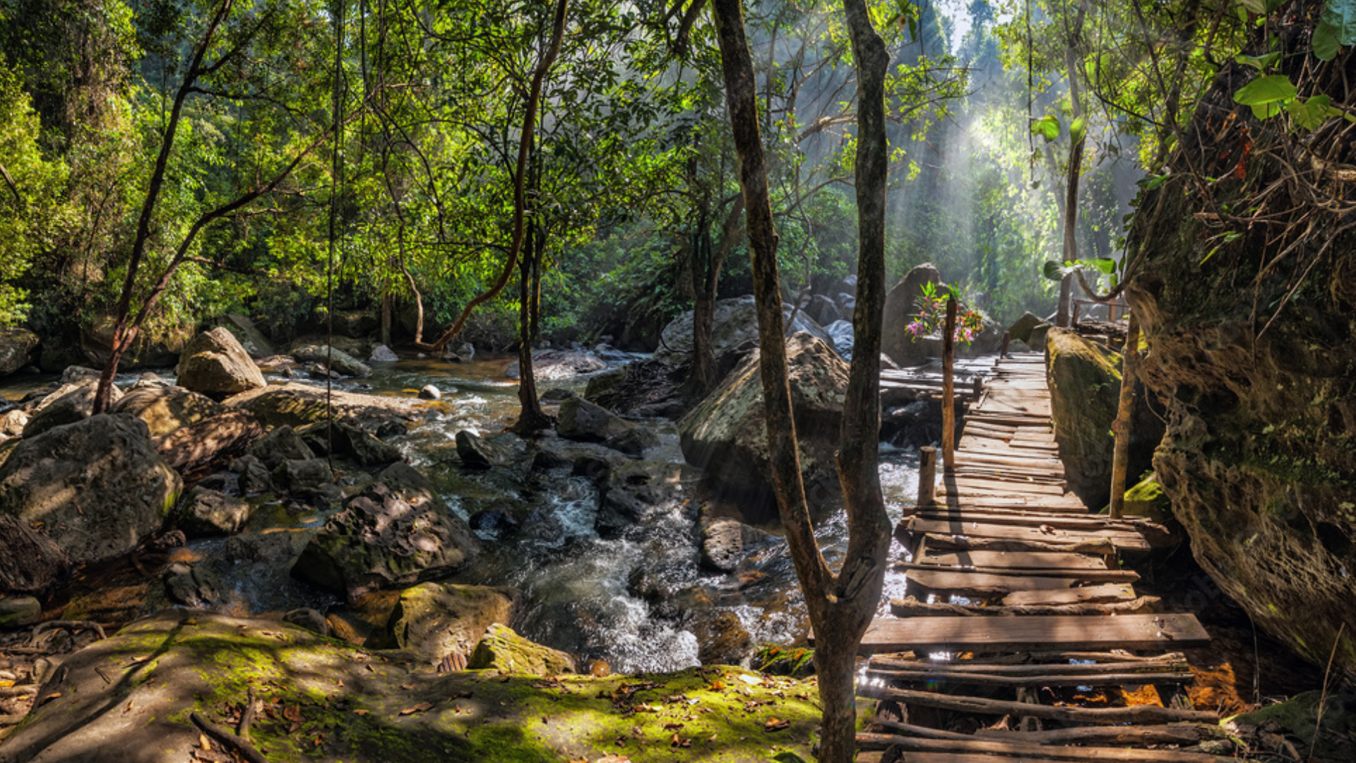 tourhub | CONNEK TRIP | 15-DAY EXPLORE VIETNAM - CAMBODIA: Hanoi - Ninh Binh - Ha Long Bay - Da Nang - Hoi An - HCMC - Mekong Delta - Siem Reap 