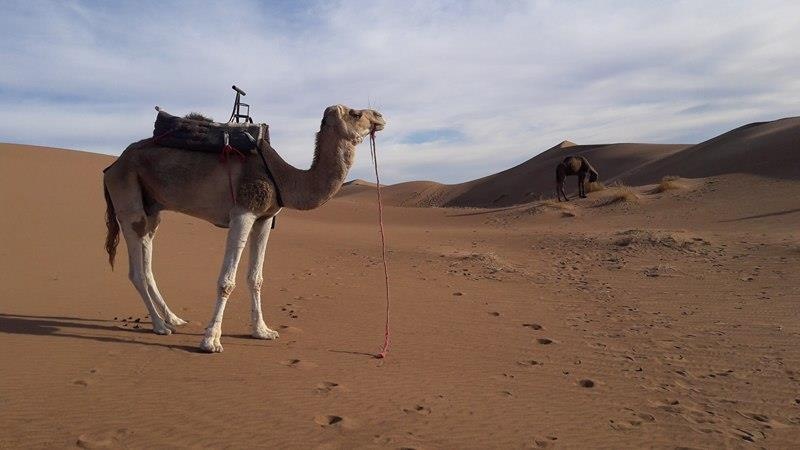 tourhub | Trek Morocco Desert Tour | Desert Tour from Marrakech 3 Days | Tour Map