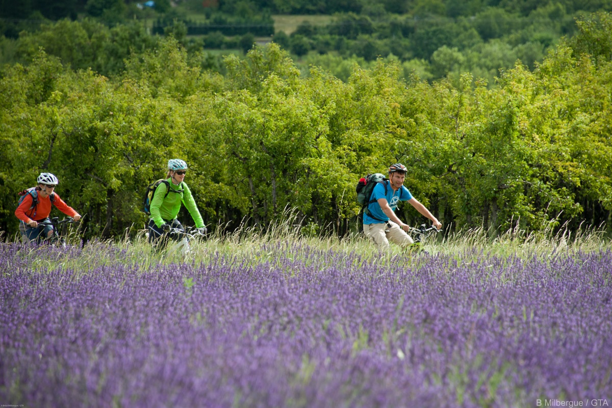 tourhub | Undiscovered Mountains | Alps to Provence E-mountain Bike Tour 