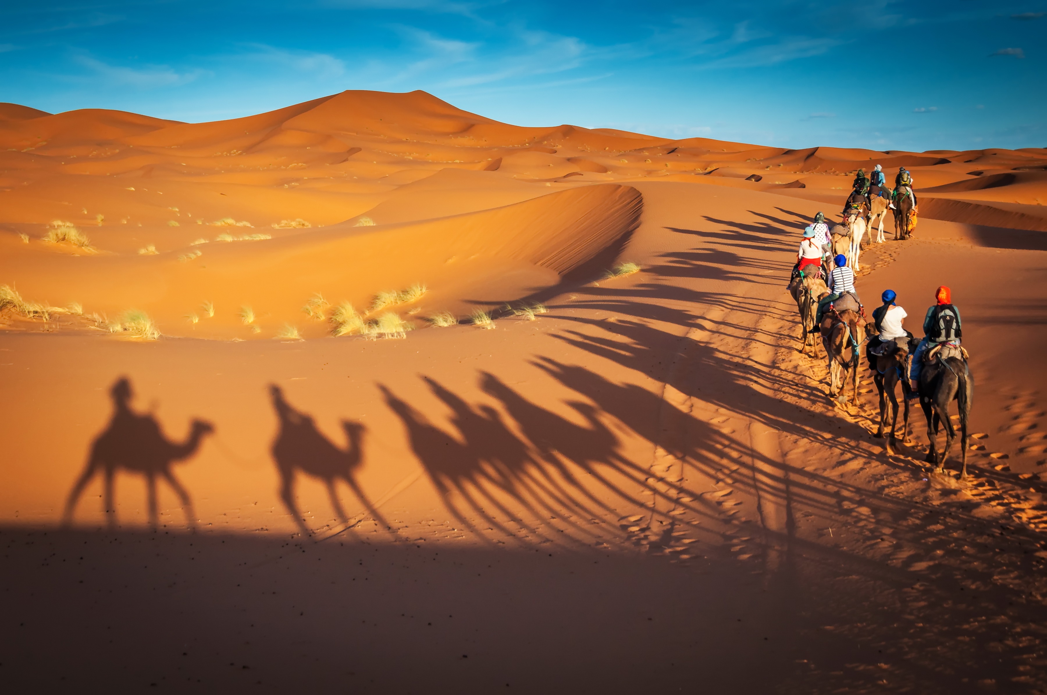 tourhub | Miki Travel Asia | 8D7N Morocco Tour with Sahara Experience 