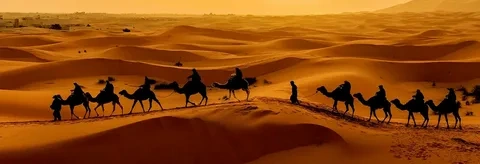 tourhub | Morocco Global Adventures | From Marrakech: 3 day trip to Fes via Merzouga Desert & Camel trek 