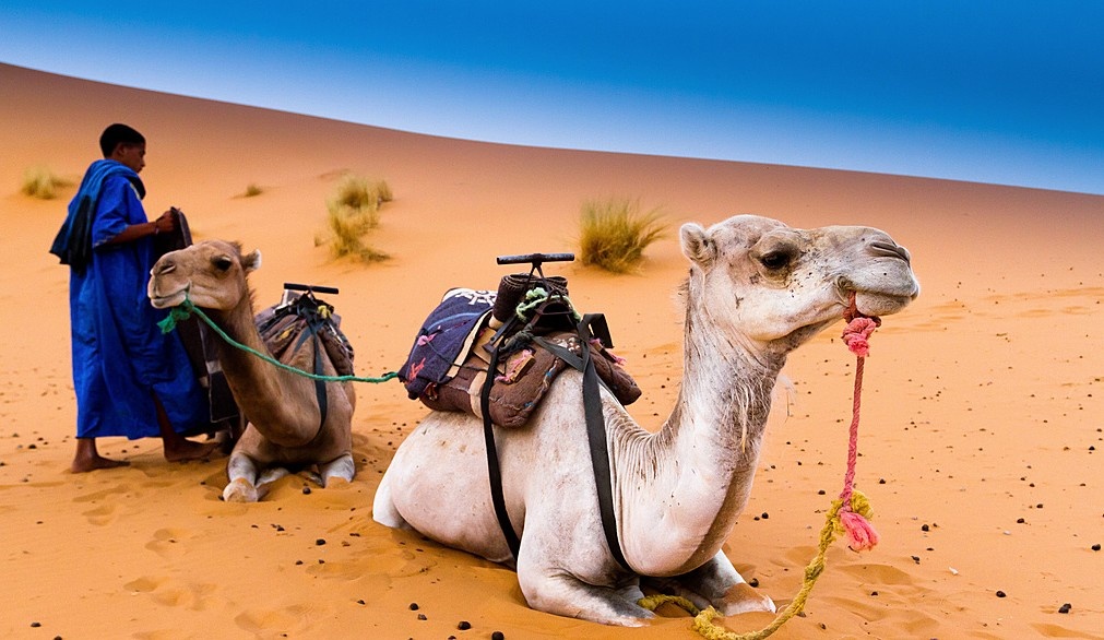 tourhub | Imagotravel | Luxury Desert Tour (Half Board, 5-Star Accommodation) 