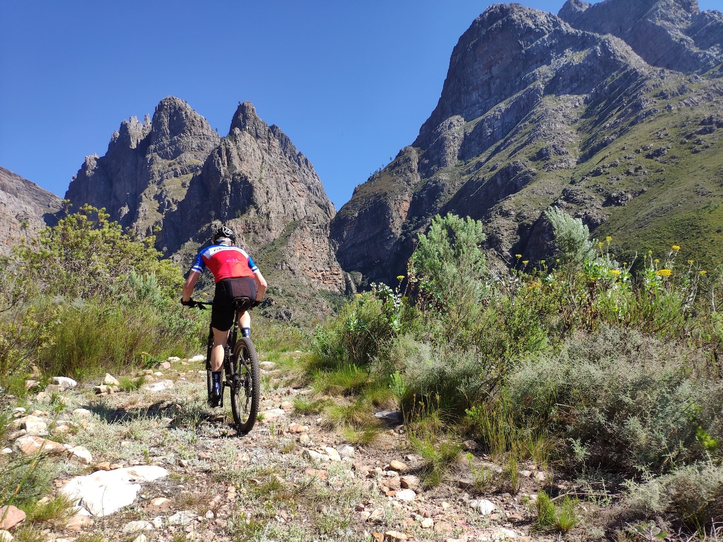 tourhub | Cape Adventure Brands | 4-Day Luxury MTB & Culinary Tour 