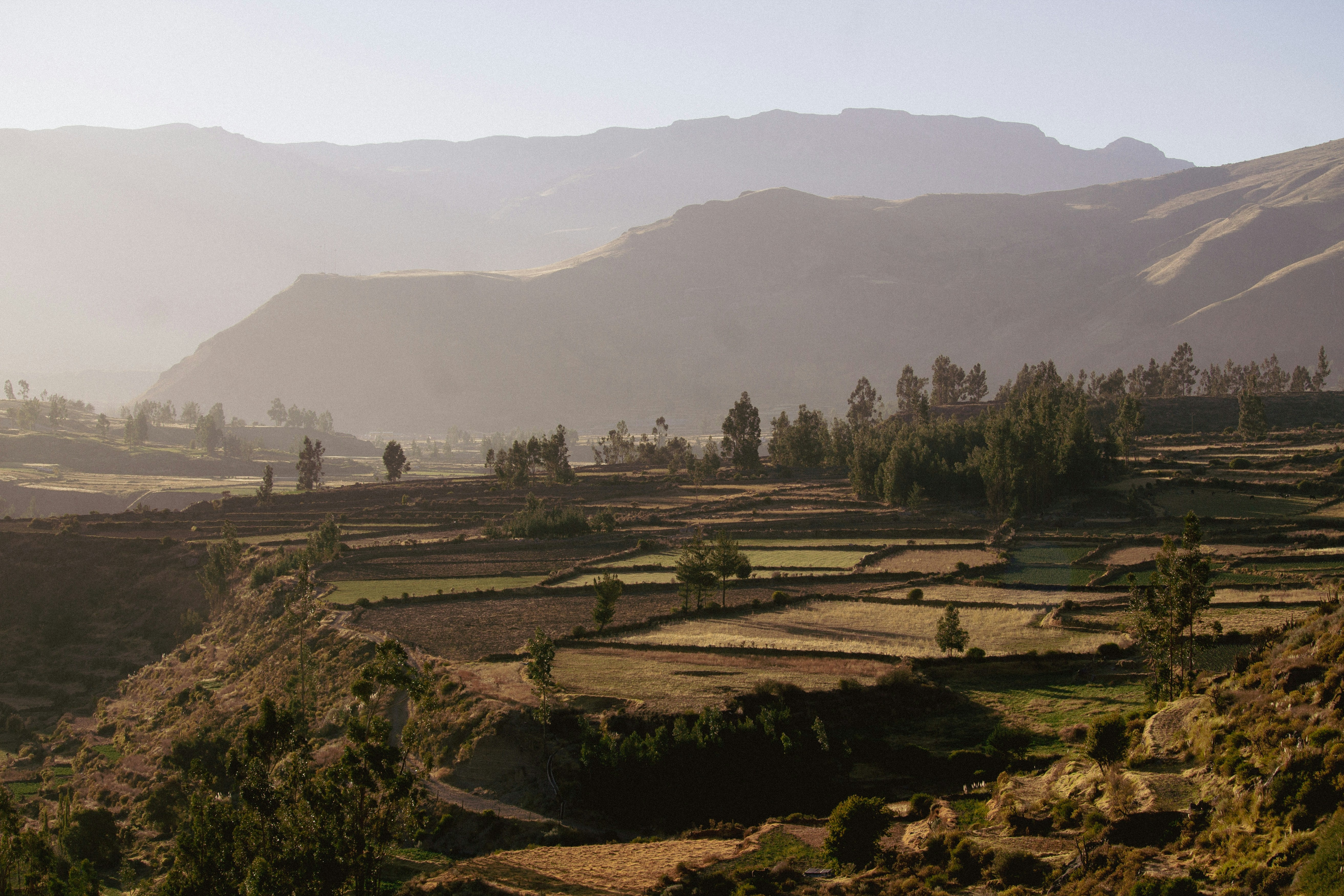 tourhub | Unu Raymi Tour Operator & Lodges | Vilcabamba to Espiritupampa Trek 