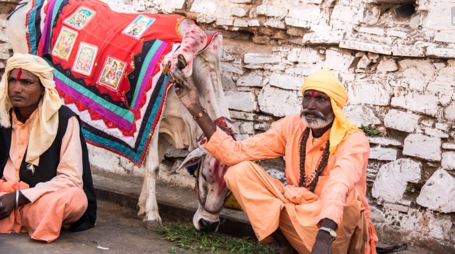 tourhub | Colourful Indian Holidays | 13 Days in Colourful Rajasthan with Taj Mahal 